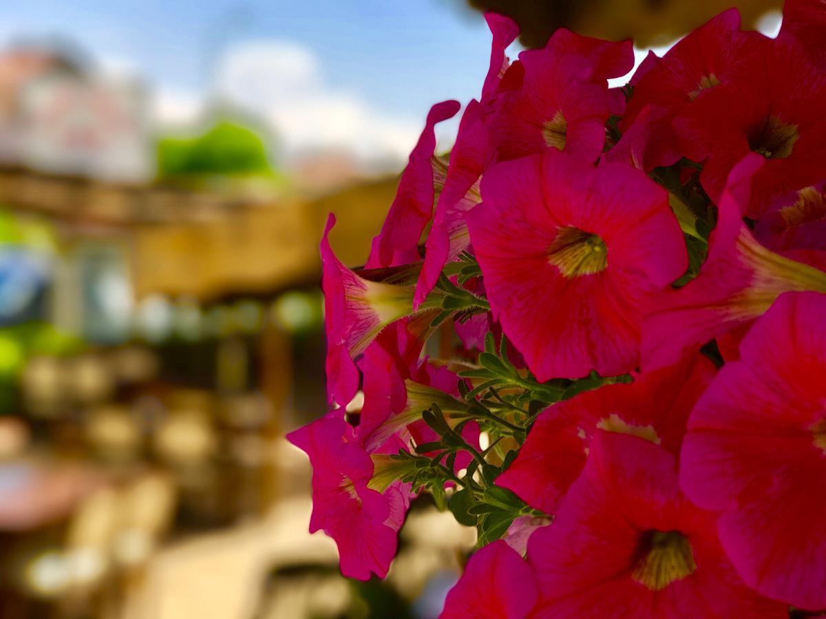 Nehir Apart Hotel Fethiye Exterior foto