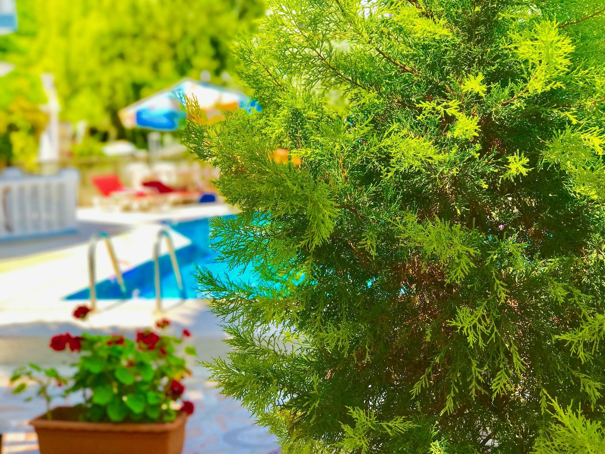 Nehir Apart Hotel Fethiye Exterior foto